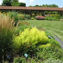 Plantings in the Kemper Center for Home Gardening